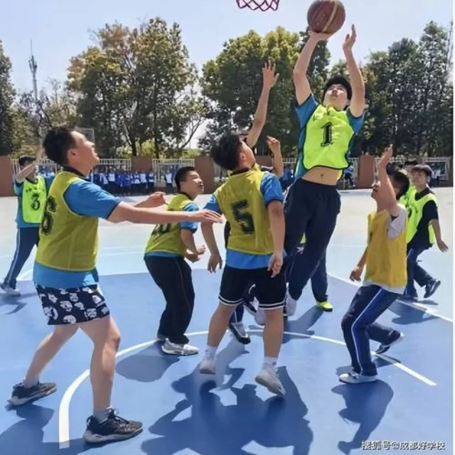 篮球季后赛走势解析：数据视角下的第109组前瞻